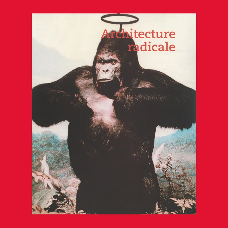 Laatste Kans Architecture radicale (Institut d'art contemporaine, Villeurbanne, 2002)