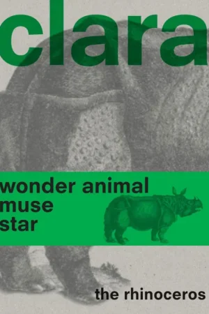Clara the Rhinoceros Beperkte Voorraad