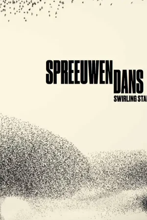 SPREEUWEN DANS - SWIRLING STARLINGS Beste Prijs