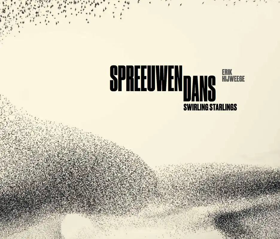 SPREEUWEN DANS - SWIRLING STARLINGS Beste Prijs