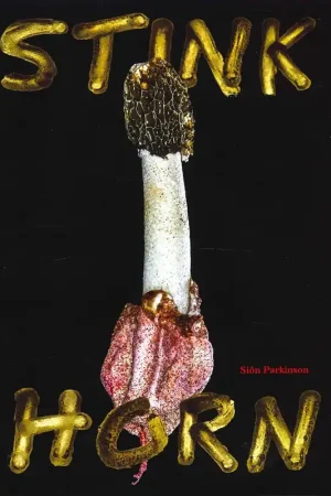 STINKHORN Nieuw
