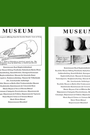Speciale Aanbieding Marcel Broodthaers: Museum – Der Adler vom Oligozän bis heute (2 volumes, 1972)