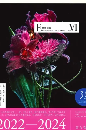 Gereduceerde Prijs Encyclopedia of Flowers VI