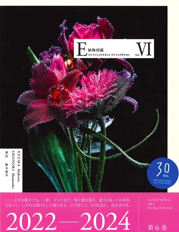 Gereduceerde Prijs Encyclopedia of Flowers VI