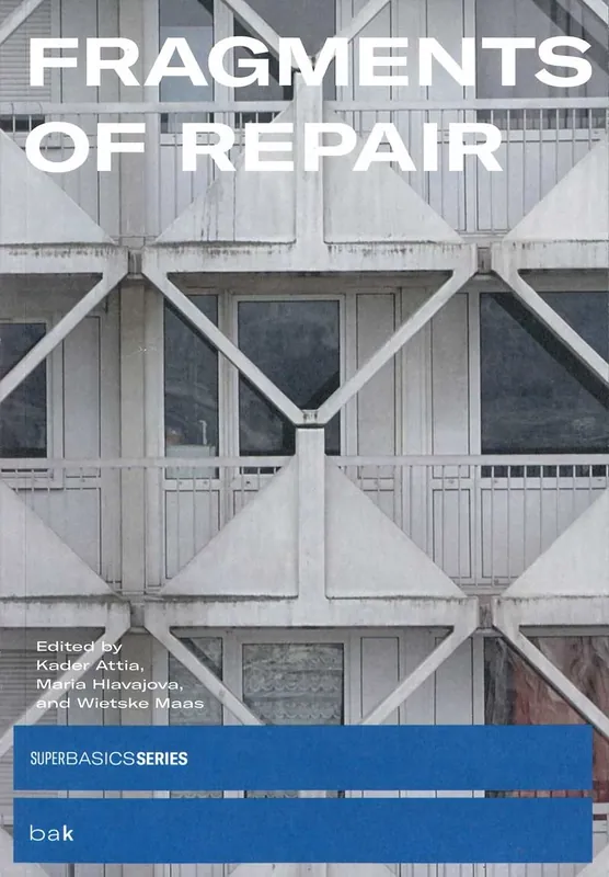 FRAGMENTS OF REPAIR Goedkoop