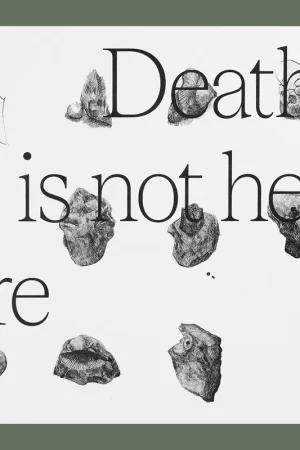 Wouter Van de Voorde: Death is not here (Edition of 750 copies) Nu Kopen