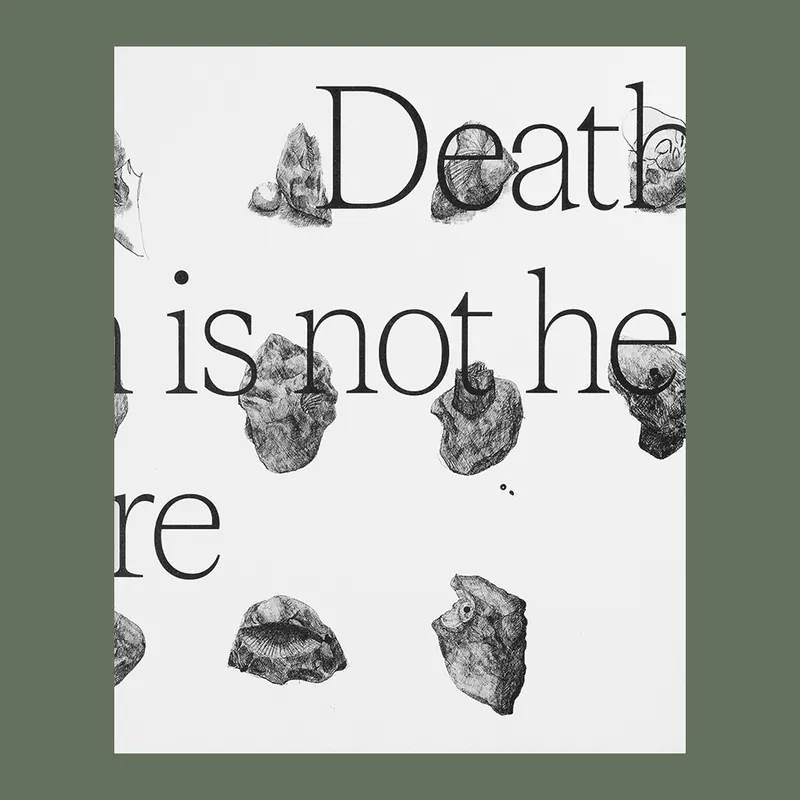 Wouter Van de Voorde: Death is not here (Edition of 750 copies) Nu Kopen