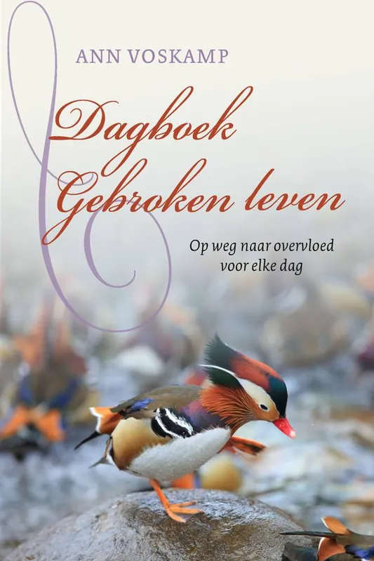 Dagboek Gebroken leven / Druk 1 Uitverkoop