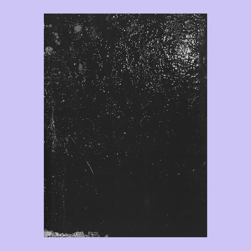 Flitsaanbieding Max Pinckers: Will They Sing Like Raindrops or Leave Me Thirsty (Signed copy)