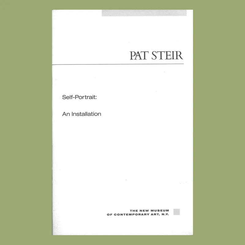 Pat Steir: Self Portrait. An Installation (1987) Nu Kopen