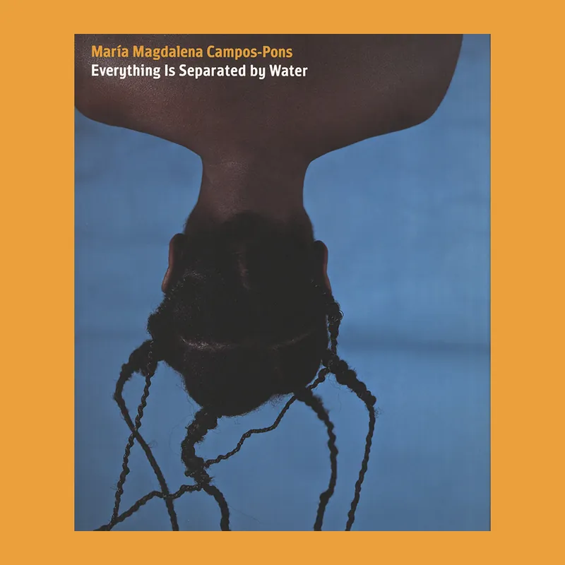 Hete Deal María Magdalena Campos-Pons: Everything Is Separated by Water