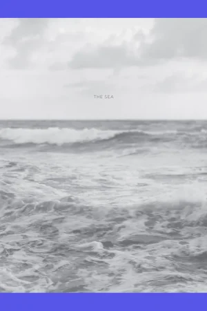 Op = Op Barbara Bosworth: The Sea