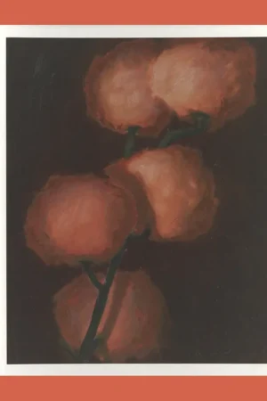 Uitverkoop Cristof Yvoré (Monograph)