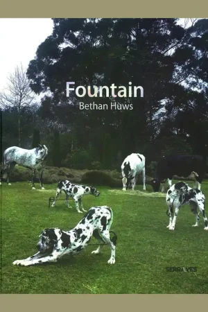 Snelle Levering Bethan Huws: Fountain