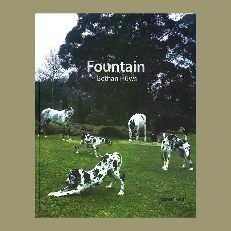 Snelle Levering Bethan Huws: Fountain