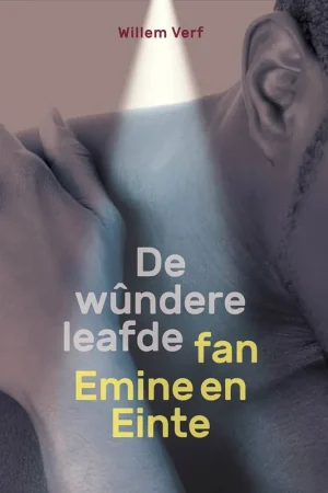 Aanbieding De wûndere leafde fan Emine en Einte / 1 Edition