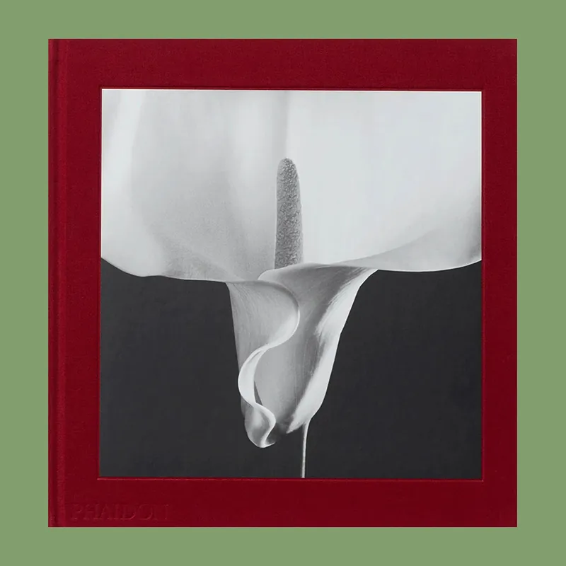 Goedkoop Robert Mapplethorpe: Flora – The Complete Flowers