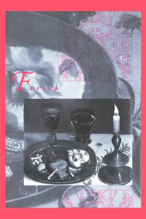 Fetish – The Princeton Architectural Journal Volume 4 Populair