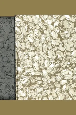 Felix Gonzalez-Torres: Catalogue Raisonné (2 volumes ) Populair