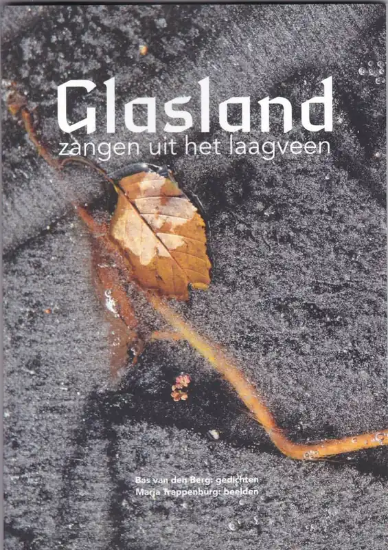 Glasland / Druk 1 Rechtstreeks Van De Fabrikant