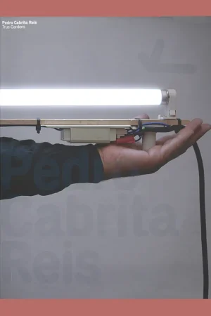 Exclusieve Aanbieding Pedro Cabrita Reis: True Gardens (Kunsthaus Graz 2008)