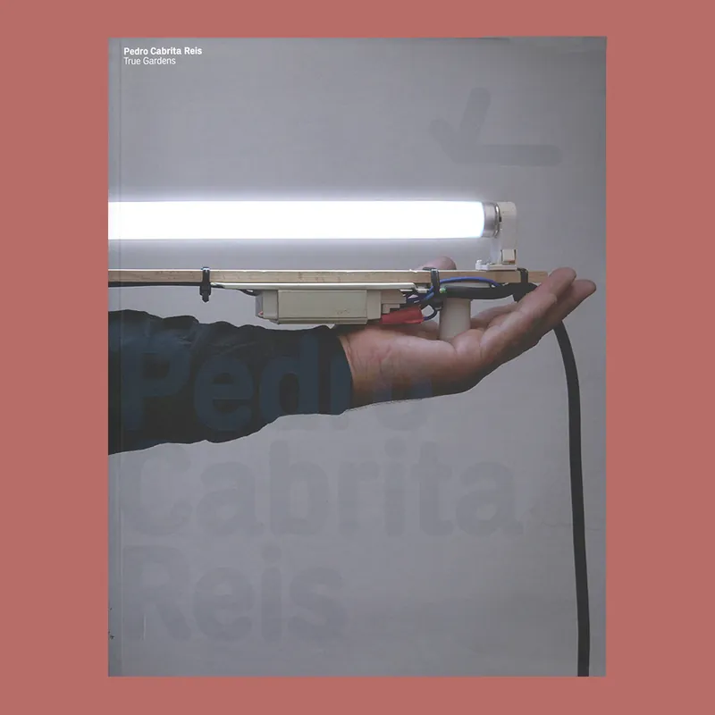 Exclusieve Aanbieding Pedro Cabrita Reis: True Gardens (Kunsthaus Graz 2008)