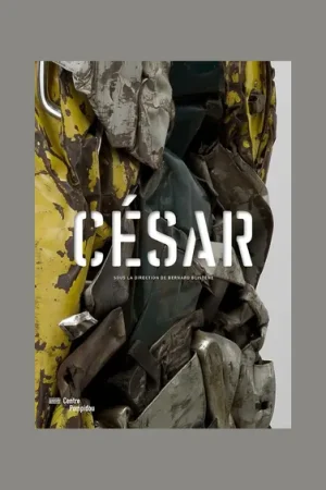 César (Centre Pompidou) Hoge Kwaliteit