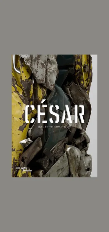 César (Centre Pompidou) Hoge Kwaliteit
