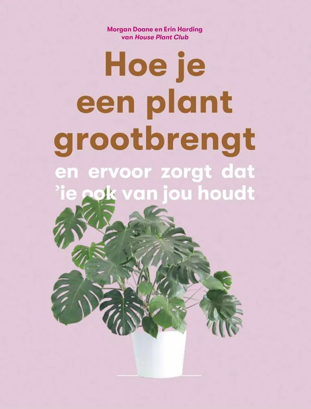 Hoe je een plant grootbrengt / Druk 1 Nu Kopen