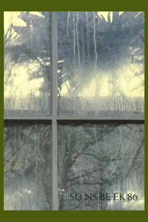 Beperkte Voorraad Sonsbeek 1986