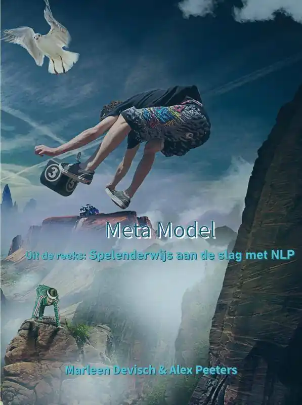 Meta Model / Druk 1 Beperkt Aanbod
