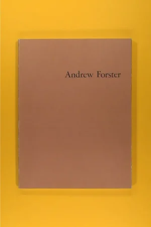 Andrew Foster: Van Abbemuseum 1981 Flitsaanbieding