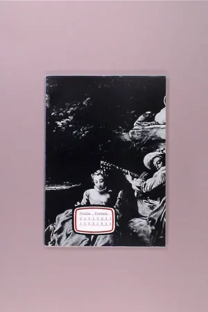 Speciale Aanbieding Niele Toroni. Galleria Allegria (1981)