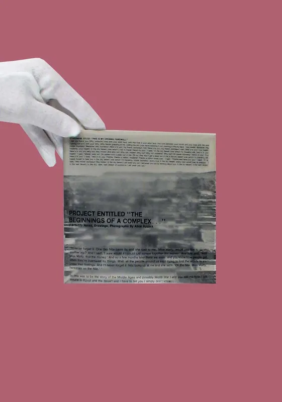 Beperkte Voorraad Alice Aycock: Project Entitled ‘The Beginning of a Complex'