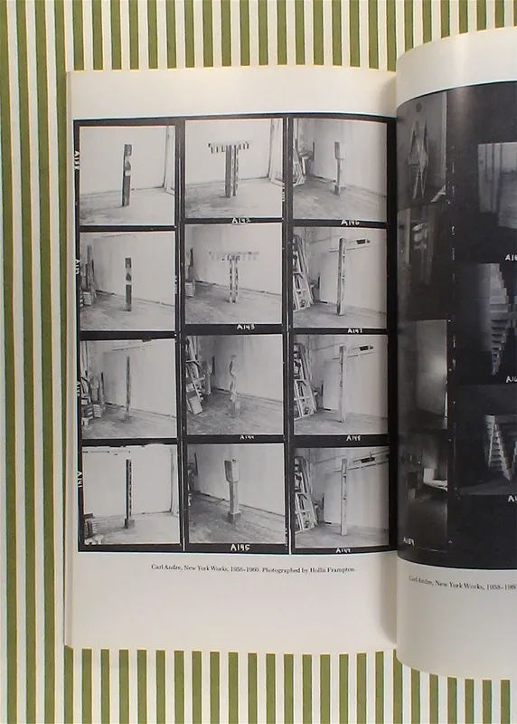 Gereduceerde Prijs Vision : New York City (1976)