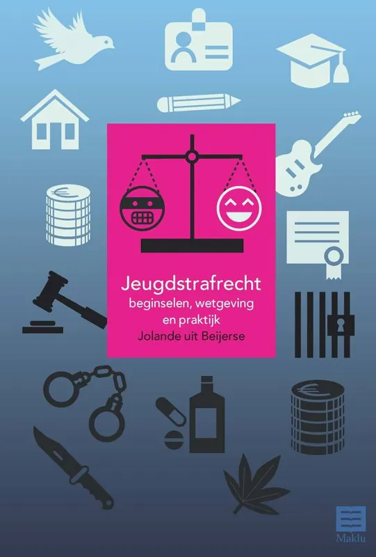 Jeugdstrafrecht / Druk 5 Bestseller