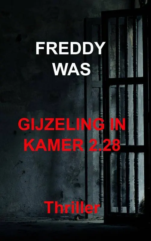 Veilige Betaling Gijzeling in kamer 2.28 / Druk 1