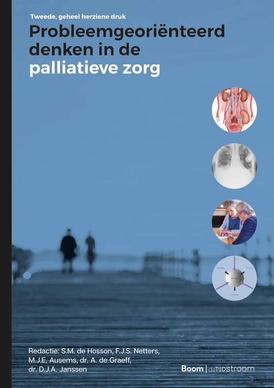 Koopje Probleemgeoriënteerd denken in de palliatieve zorg / Druk 2