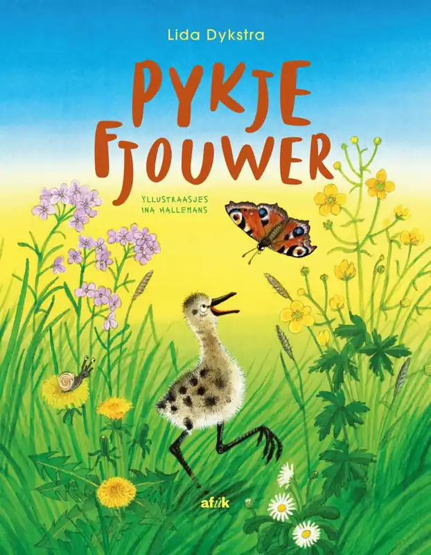 Flitsaanbieding Pykje fjouwer / 1 Edition