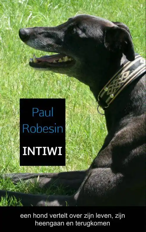 INTIWI / Druk 1 Gratis Verzending
