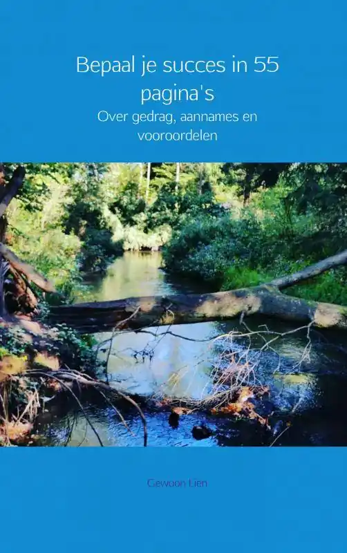Bepaal je succes in 55 pagina's / Druk 4 Bestseller