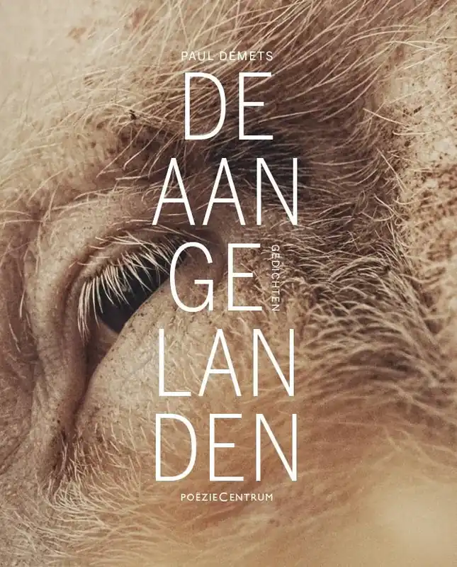 De aangelanden / Druk 1 Flitsaanbieding