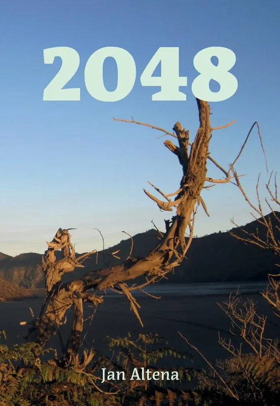 Hoge Kwaliteit 2048 / Druk 1