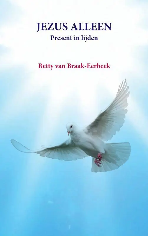 Koop Vandaag JEZUS ALLEEN / Druk 1