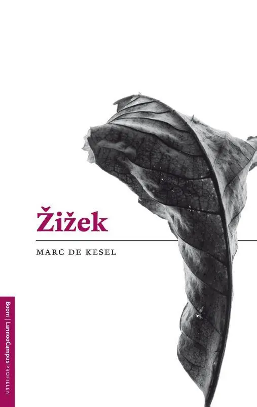 Meest Verkocht Zizek / Druk 1