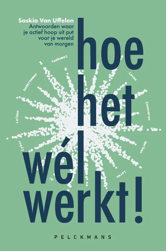 Bestseller Hoe het wél werkt! / Druk 1