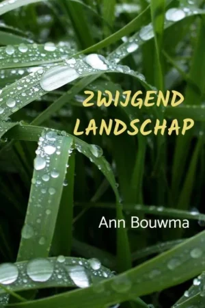 Zwijgend landschap / Druk 1 Direct Verzonden