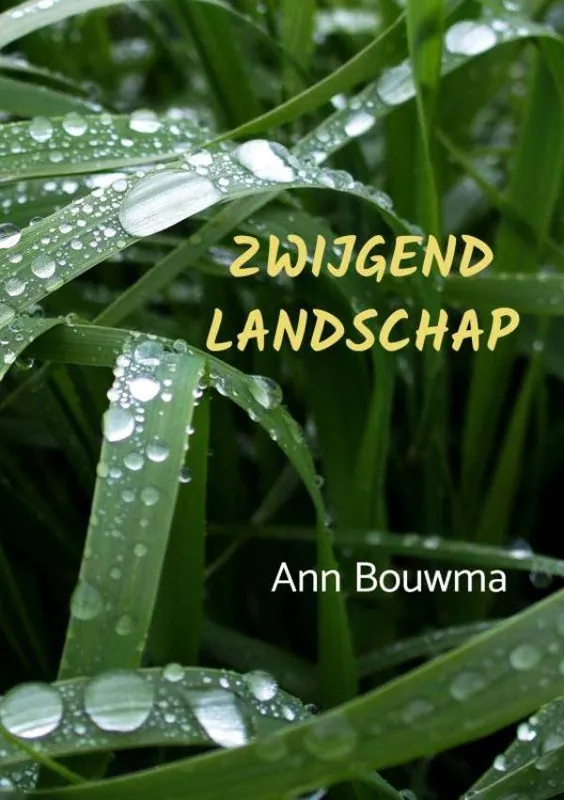 Zwijgend landschap / Druk 1 Direct Verzonden