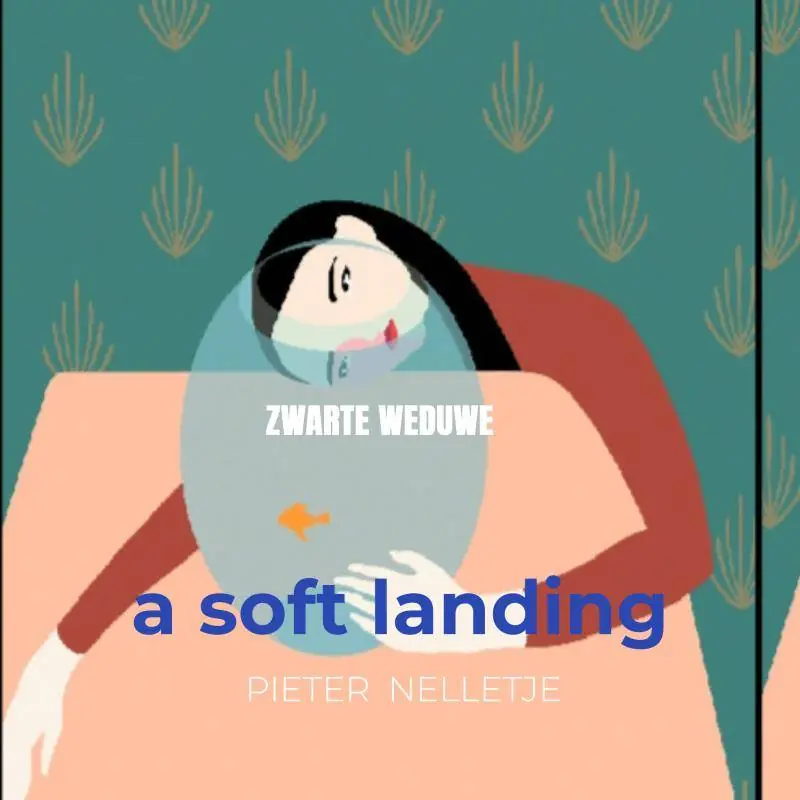 a soft landing / Druk 1 Voordeelprijs