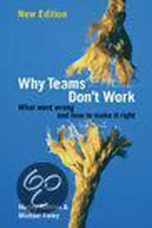 Beste Prijs Why Teams Don't Work